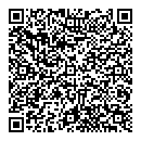 QR код "Глобус"