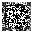 QR код "Домино"