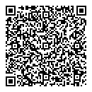 QR код "ДиММ"