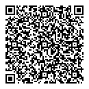 QR код "Дирижабль"