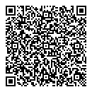 QR код "Шум"