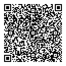 QR код "Шторм"