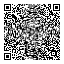 QR код "Гейзер"