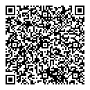 QR код "Professional"