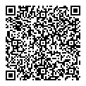 QR код "Мир"