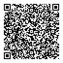 QR код "Глобус"
