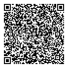 QR код "Звездный"