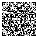 QR код "Муравейник"