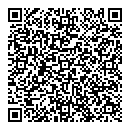 QR код "Профессионал"