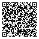 QR код "Глобус"