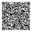 QR код "Art Style"