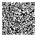 QR код "Спутник"