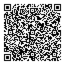 QR код "Спутник"