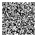 QR код "Глобус"