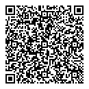 QR код "Mona Lisa"