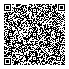 QR код "Холодок-Сити"