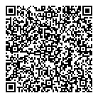 QR код "Спутник"
