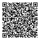 QR код "Форда"
