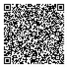 QR код "Светла-Аудит"