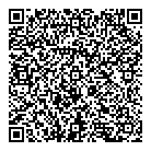 QR код "Воронежский ЦНТИ"