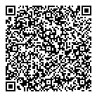 QR код "Леди блеск"