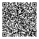 QR код "Давид"