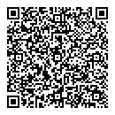 QR код "Домино"