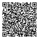 QR код "Moon"