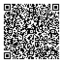 QR код "Демос-Строй"