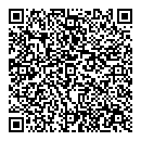 QR код "Арсенал"