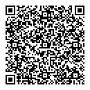 QR код "Сателлит"