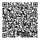 QR код "Динамо"