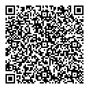 QR код "Da Vinci"