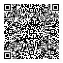 QR код "Созвездие"