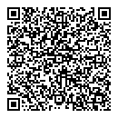 QR код "Demi-Style"