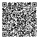 QR код "Айсберг"