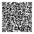 QR код "Lego"