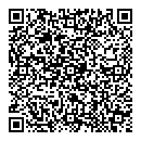 QR код "Ford Veles"