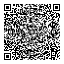 QR код "Каро"