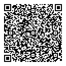 QR код "ДИКСИ"