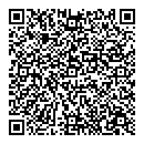QR код "Камелот"