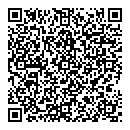 QR код "Professional"