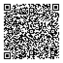 QR код "Алсу"