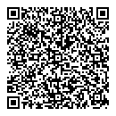 QR код "Alex Auto Group"