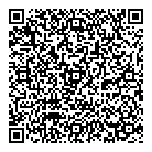 QR код "Дельфин"