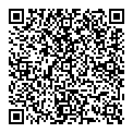 QR код "Мир"