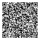 QR код "Профессионал"
