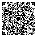 QR код "Фиона"