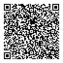 QR код "Блеск"