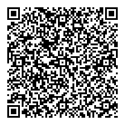 QR код "ДСВ-групп"